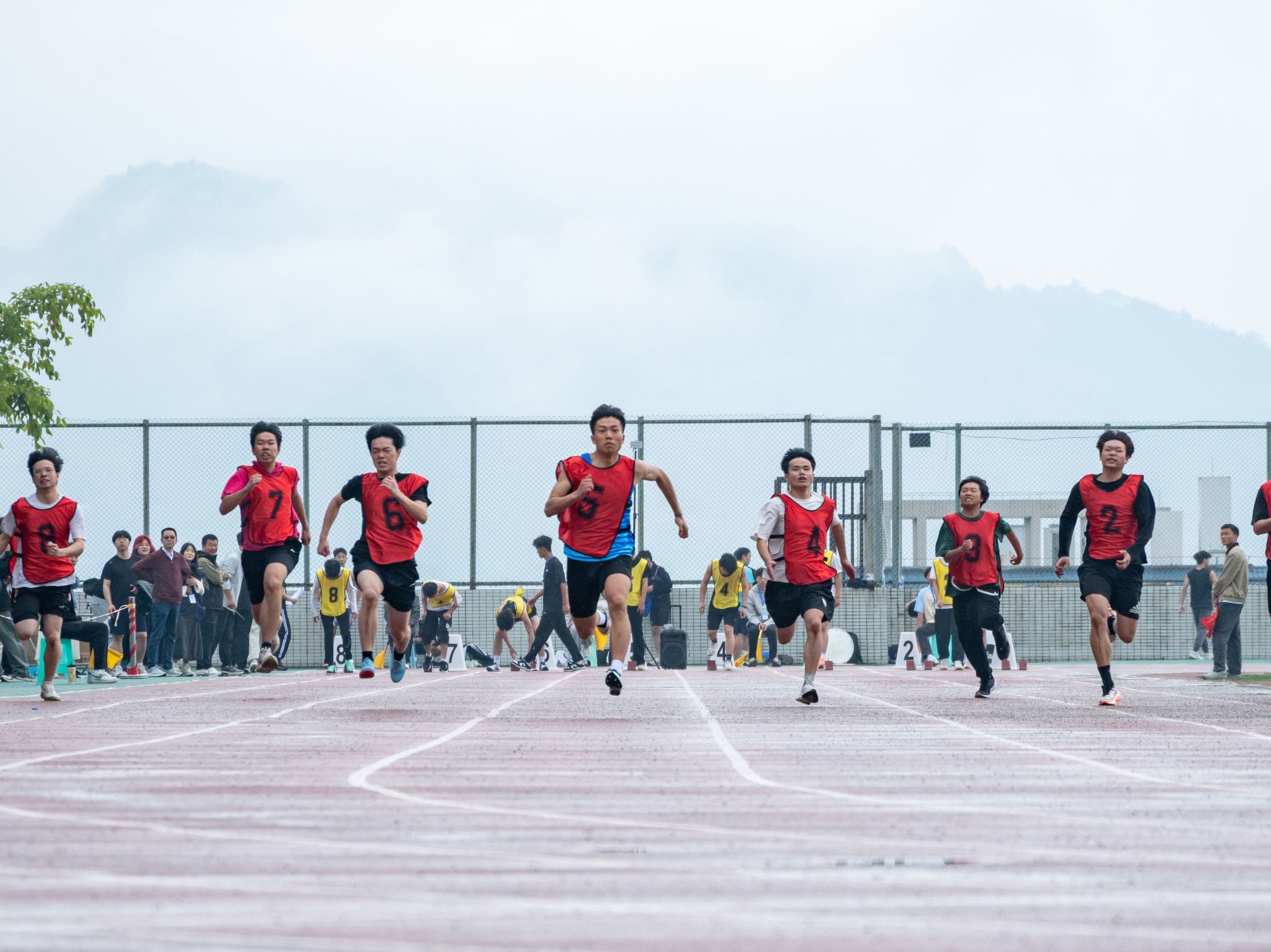 香港特马王中五资料